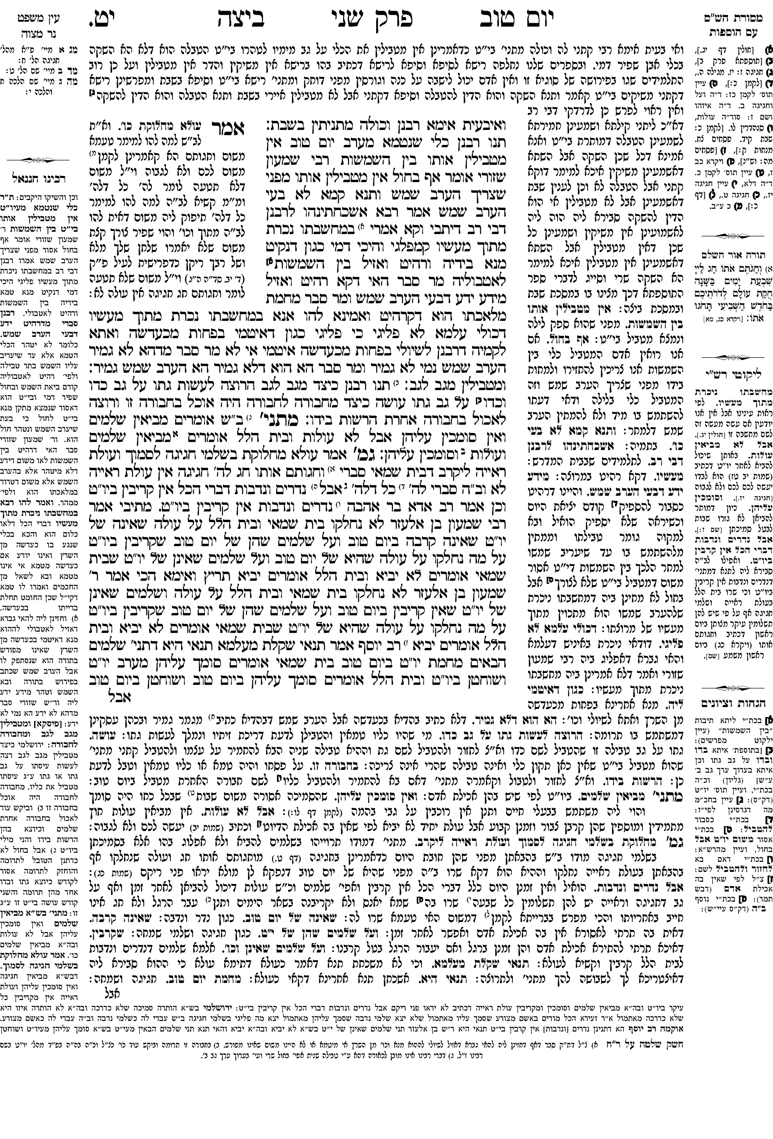 beitzah 19a